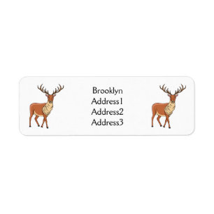 Reindeer cartoon illustration
