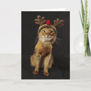 Reindeer Games Somali Cat Holiday