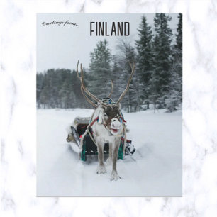 Reindeer in Kittilä Lapland Finland Postcard