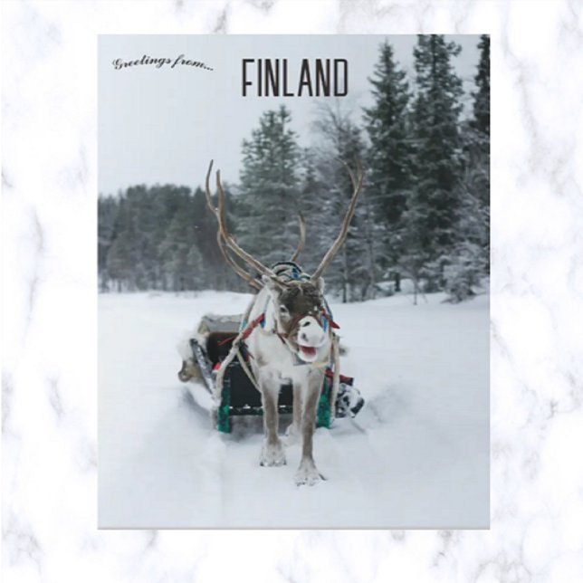 Reindeer in Kittilä Lapland Finland Postcard (Creator Uploaded)