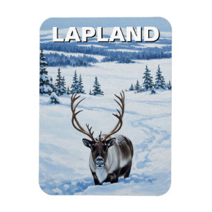 Reindeer in Lapland Finland Travel Magnet