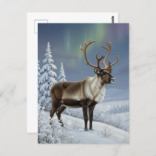 Reindeer in Lapland Finland Travel Postcard
