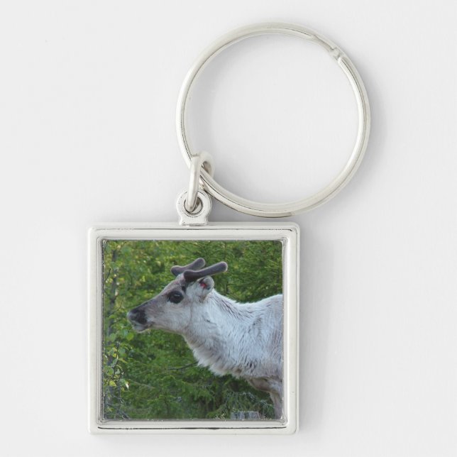 Reindeer in Lapland key chain (Front)