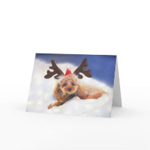 Reindeer In Training holiday card