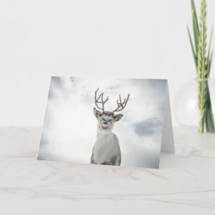 Reindeer Nature Photo Card