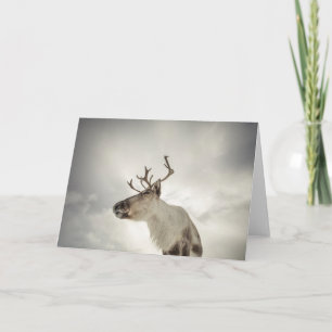 Reindeer Nature Photo Card