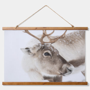 Reindeer Nature Photo Hanging Tapestry