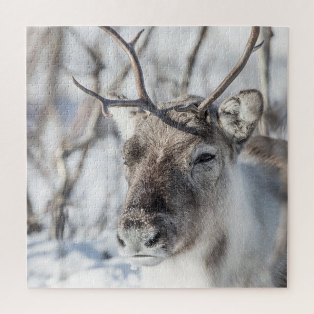 Reindeer Nature Photo Jigsaw Puzzle (Vertical)