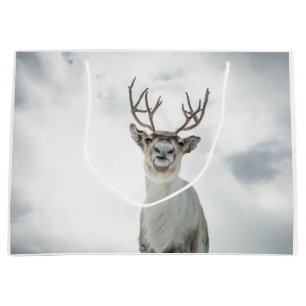 Reindeer Nature Photo Large Gift Bag