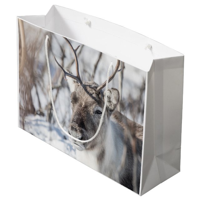 Reindeer Nature Photo Large Gift Bag (Back Angled)