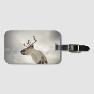 Reindeer Nature Photo Luggage Tag