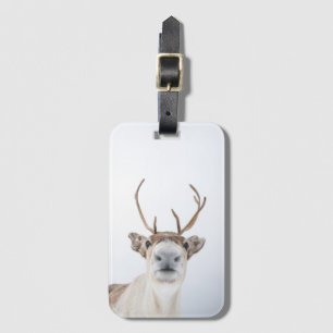 Reindeer Nature Photo Luggage Tag