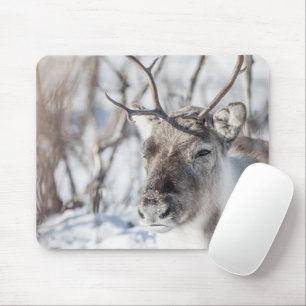 Reindeer Nature Photo Mouse Pad