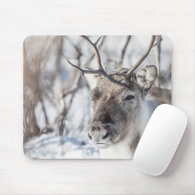 Reindeer Nature Photo Mouse Pad (With Mouse)