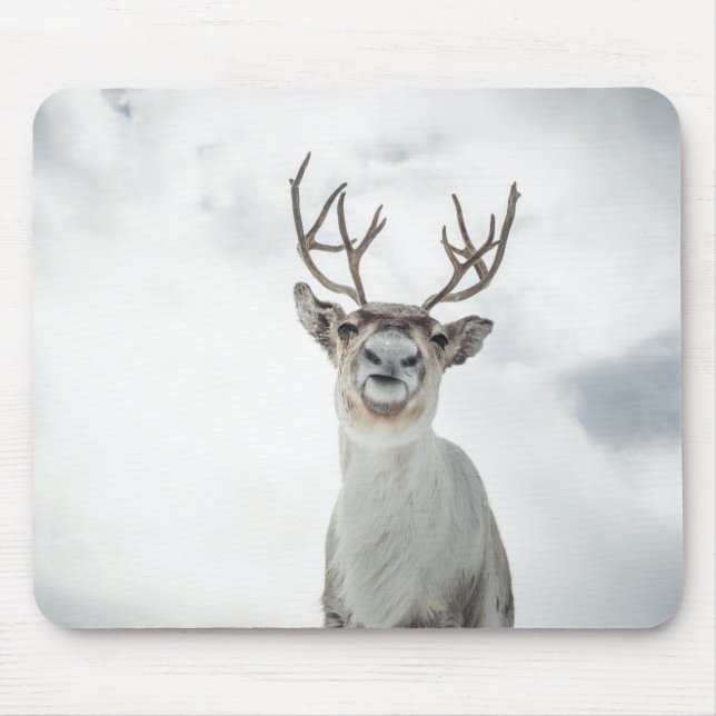 Reindeer Nature Photo Mouse Pad (Front)