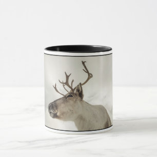Reindeer Nature Photo Mug