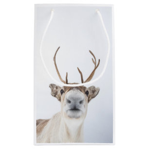 Reindeer Nature Photo Small Gift Bag