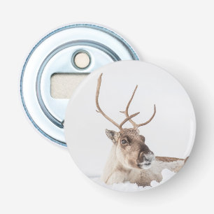 Reindeer Nature Photo Souvenir Bottle Opener
