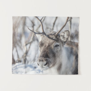 Reindeer Nature Photo Tapestry