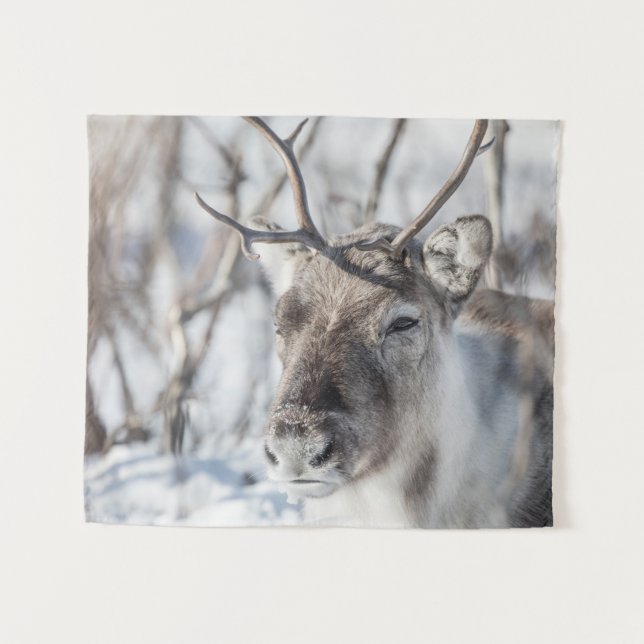 Reindeer Nature Photo Tapestry (Front (Horizontal))