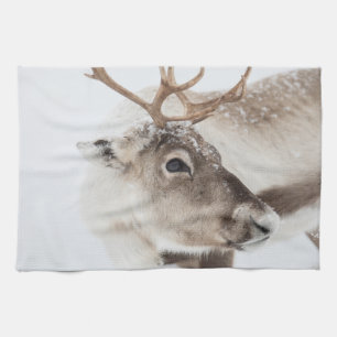 Reindeer Nature Photo Tea Towel