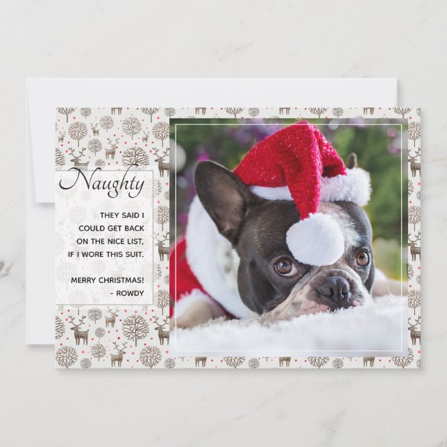 Reindeer Pattern & Script Typography Custom Colour Holiday Card (Front)