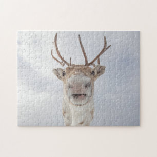 Reindeer Photo Jigsaw Puzzle