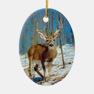 Reindeer Photo Template Xmas Keepsake Decoration