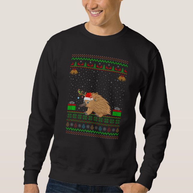 Reindeer Santa Hat Matching Ugly Echidna Christmas Sweatshirt (Front)