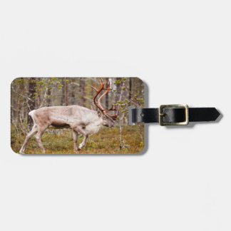 Reindeer walking in forest luggage tag