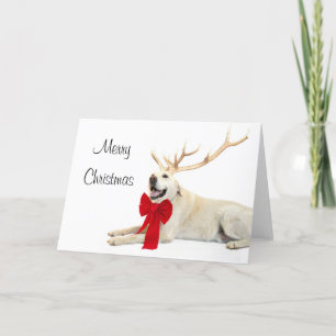 Reindeer yellow lab holiday card