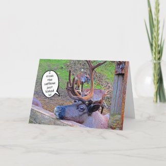 Reindeer's Caffeine Kicked In Card