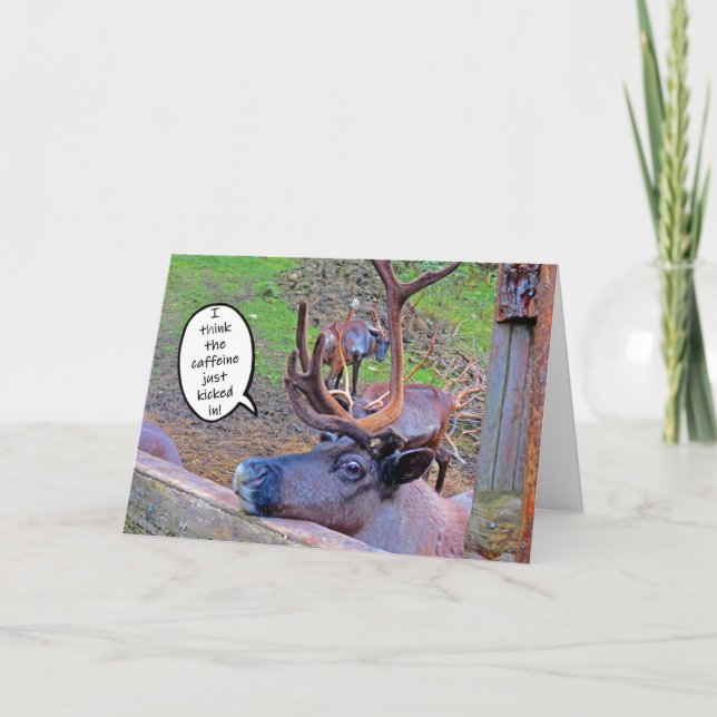 Reindeer's Caffeine Kicked In Card (Front)
