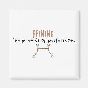 Reining Magnet