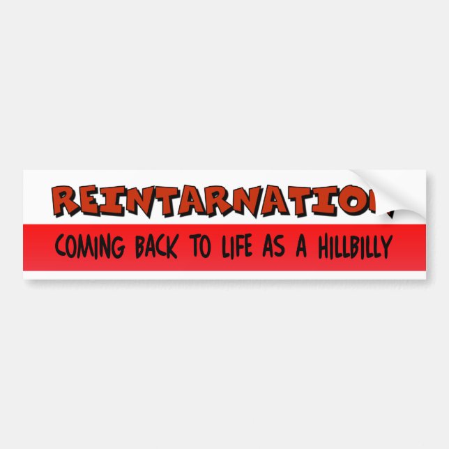 Reintarnation Sticker (Front)