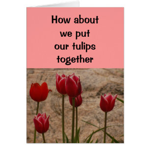 Relationship/Dating - How about we put our tulips