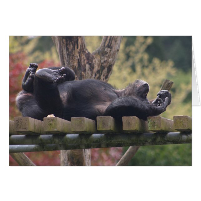 Relax! (Front Horizontal)