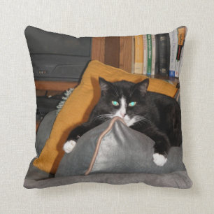 Relax A Cat Cushion