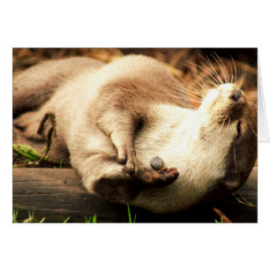 Relax and enjoy!
