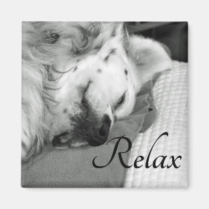 "Relax" Cute Dog Sleeping Square Magnet