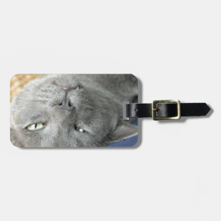Relax! Grey Purring Cat Luggage Tag