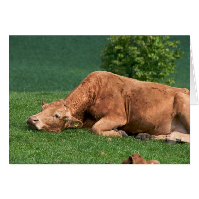 Relax, Life is too short (Front Horizontal)