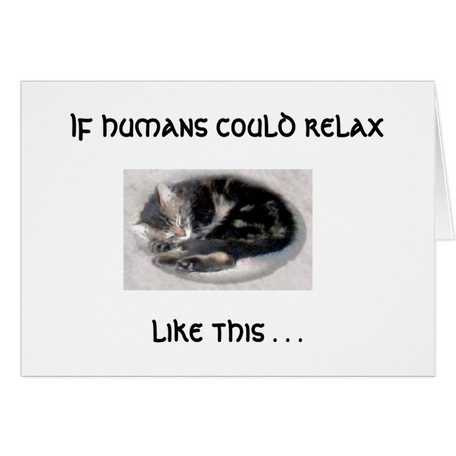 Relax Like A Cat (Front Horizontal)