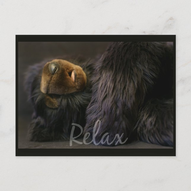 Relax Post Card With Sleeping Bear (Front)