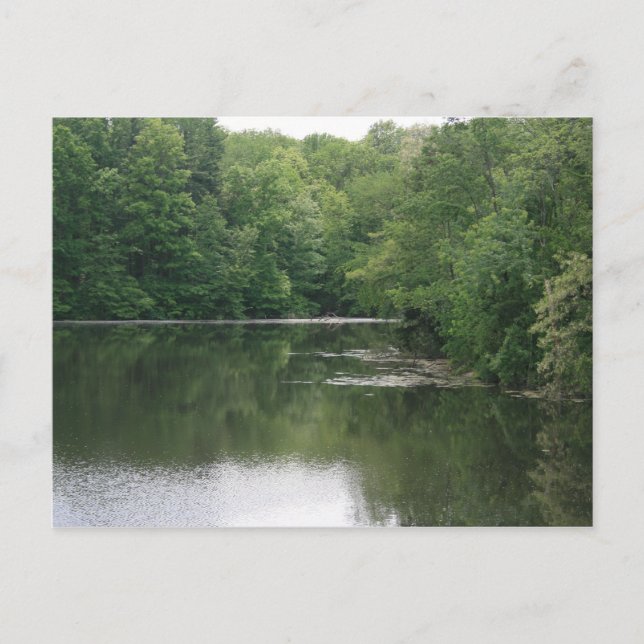 Relax Postcard (Front)