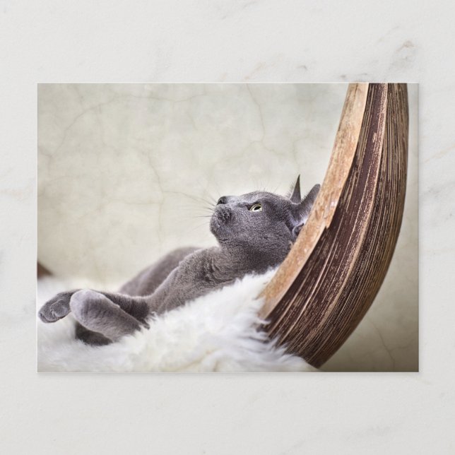 Relax Postcard (Front)