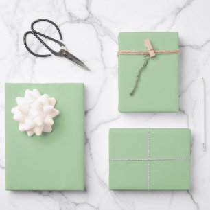 Relaxation Green Spring And Summer Trending Color Wrapping Paper Sheet