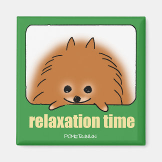 relaxation time magnet