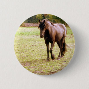 Relaxed Brown Horse Walking 6 Cm Round Badge