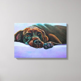Relaxed Chocolate Lab Canvas Print